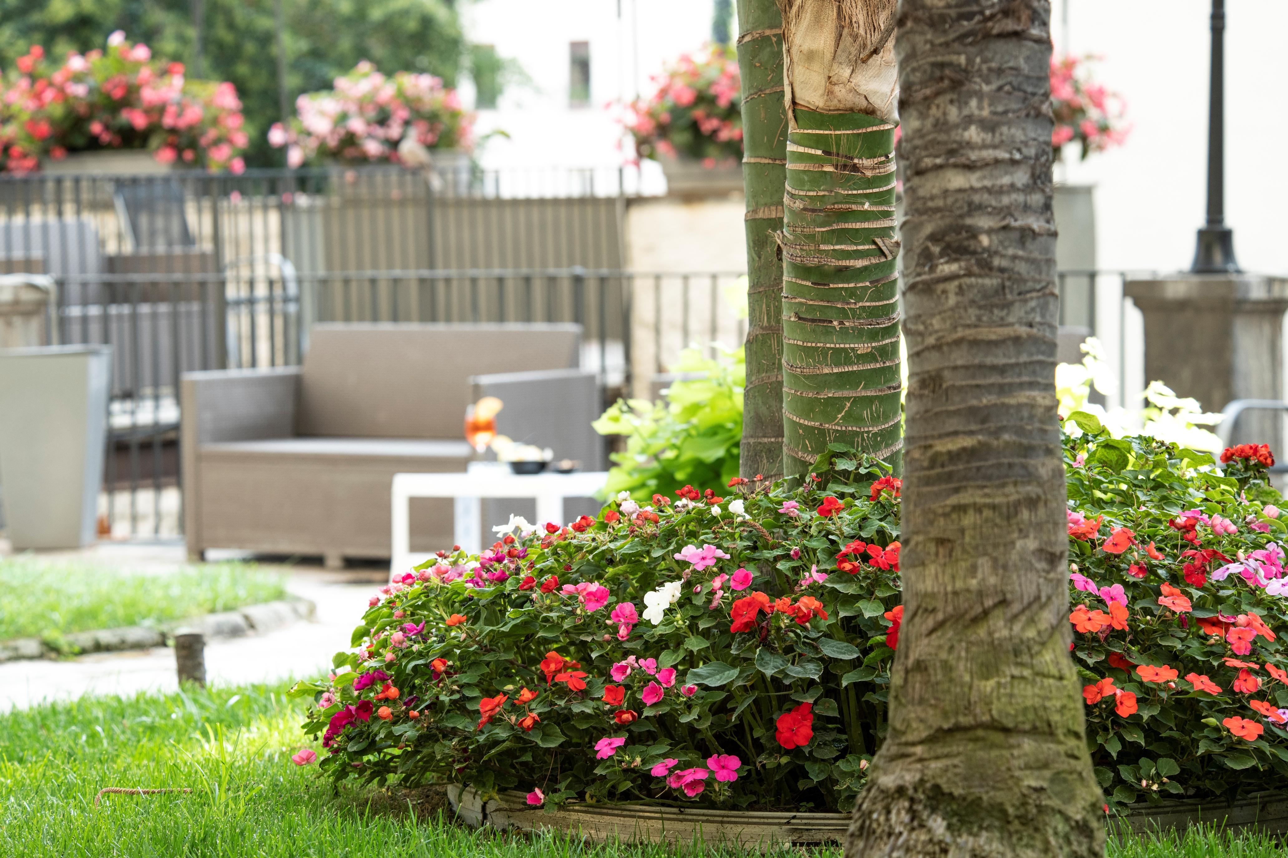 Villa Elisio Hotel & Spa Napoli Eksteriør bilde